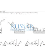 ESQUEMA-PUNTA-P4-EMS-COMPATIBLES-WOODPECKER-28-P4-MARCA