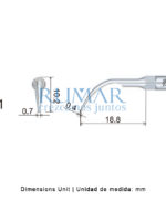 PUNTA-WOODPECKER-DTE-EMS-28-G1-MARCA-2