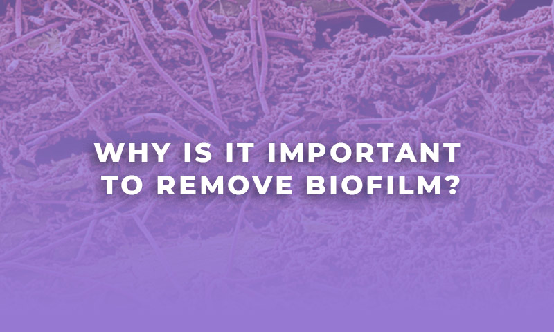 Important-remove-biofilm-ABC-WOODPECKER-RUMAR METHOD