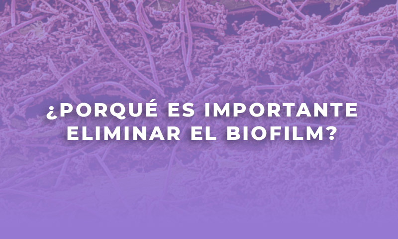 Importante-eliminar-biofilm-METODO-ABC-WOODPECKER-RUMAR Importante-eliminar-biofilm-METODO-ABC-WOODPECKER-RUMAR