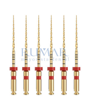 LIMA-ENDO-INNORECI-28-DMIR250825-MARCA